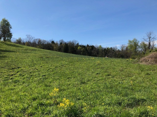 0 Stonehouse Road California, KY 41007 - Photo 23 of 24