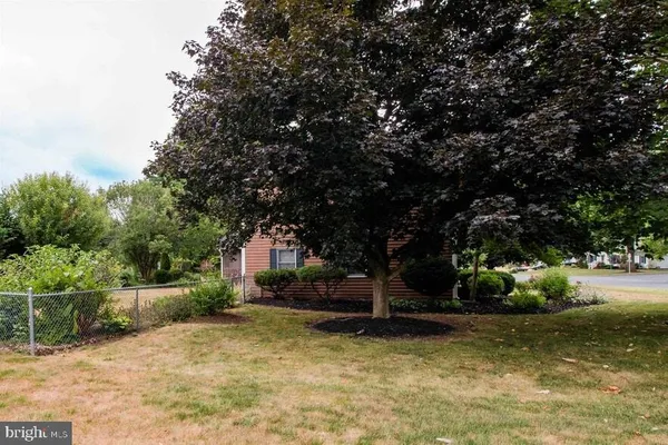 a view of a yard with a tree