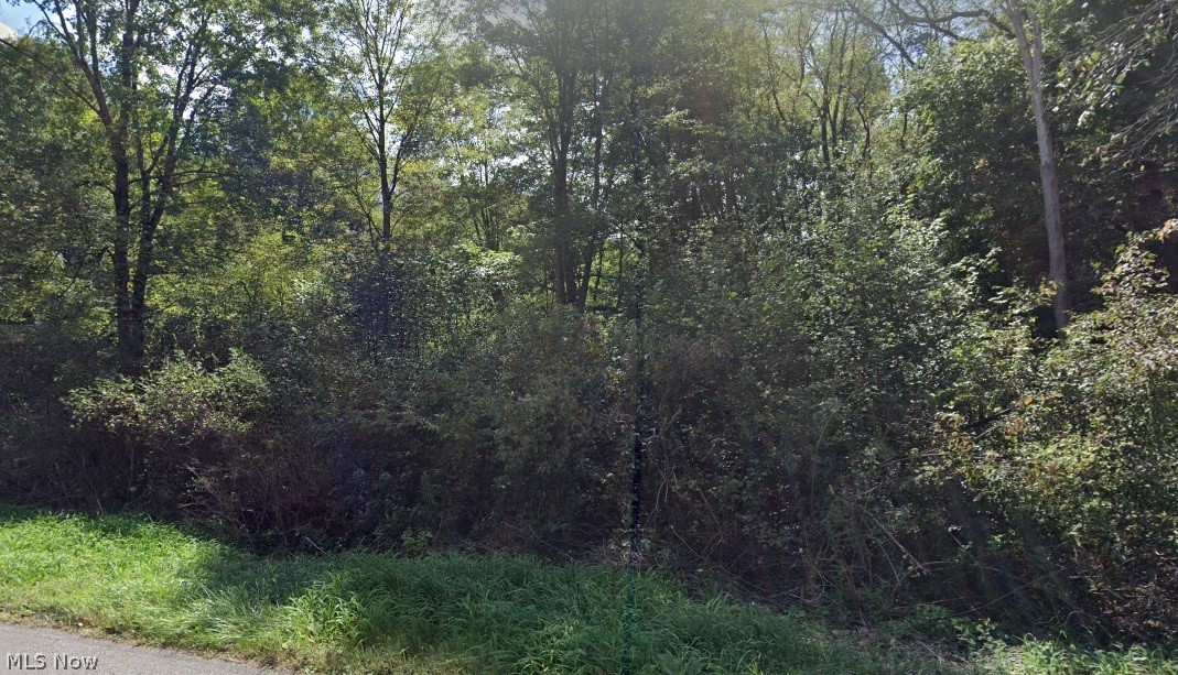 2960 Schotten Road Hubbard, OH 44425 - Photo 1 of 4