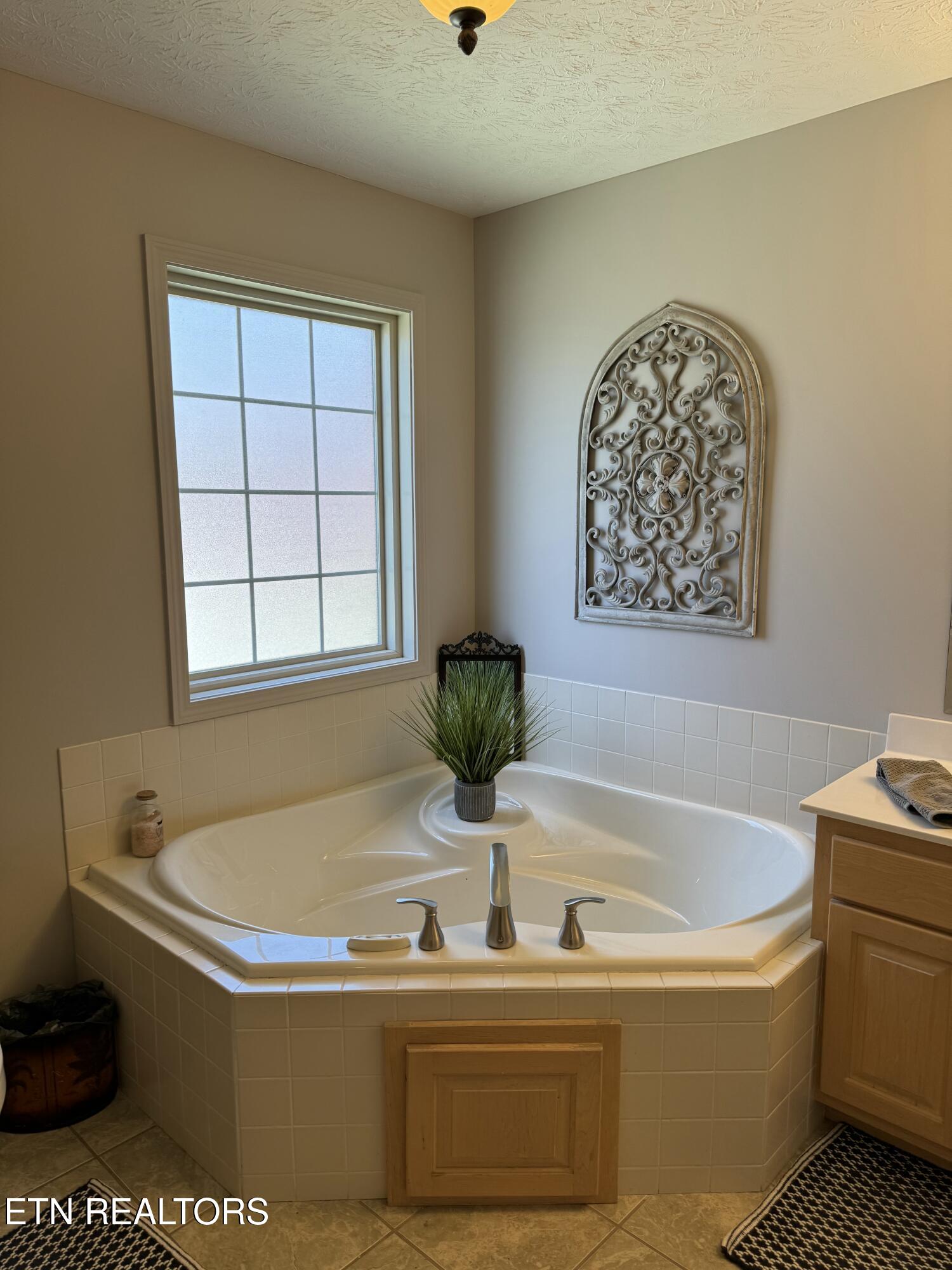 298 Cherokee Cove Rutledge, TN 37861 - Photo 15 of 32 IMG_5360
