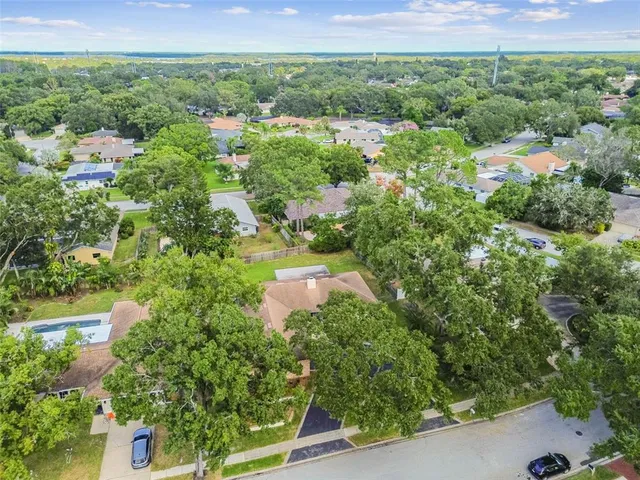 a view of park with trees
