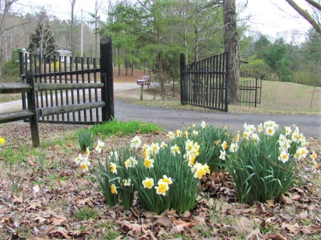9041 Greenbriar Road Waverly, TN 37185 - Photo 28 of 30 Gallery Image 28