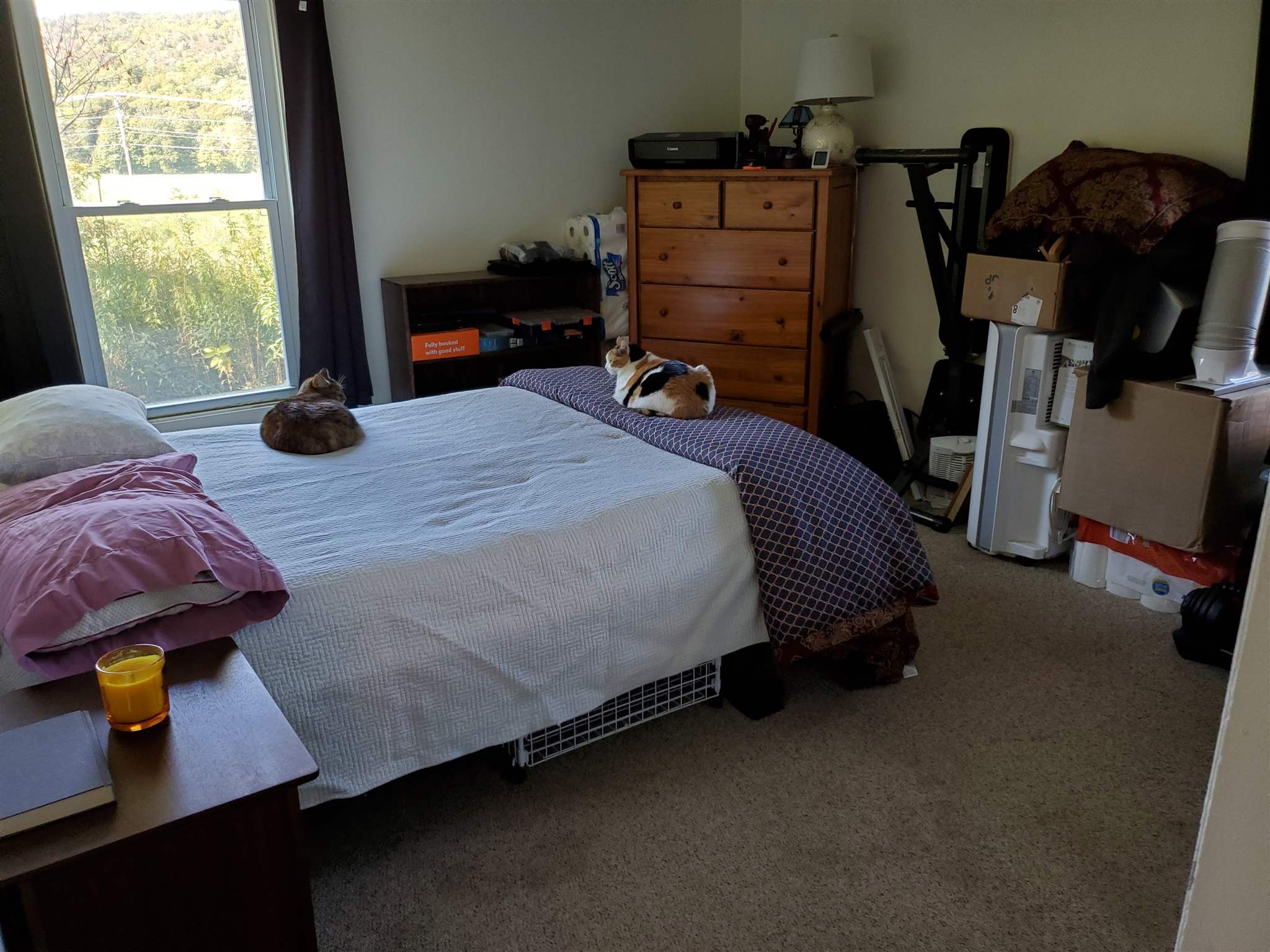 11 Happy Haven Road Wilmington, VT 05363 - Photo 7 of 11 Gallery Image 7