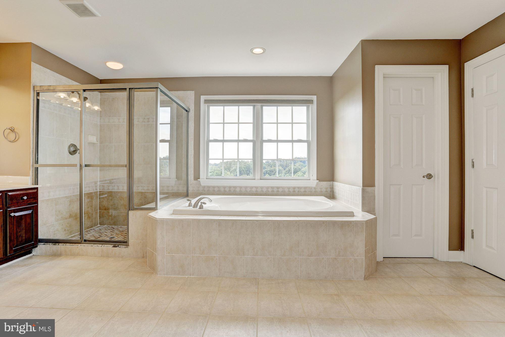 25118 Vista Ridge Road Laytonsville, MD 20882 - Photo 12 of 30 Bath (Master)