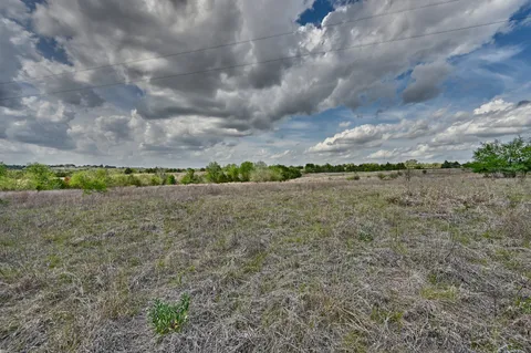 a view of a field of grass and trees
