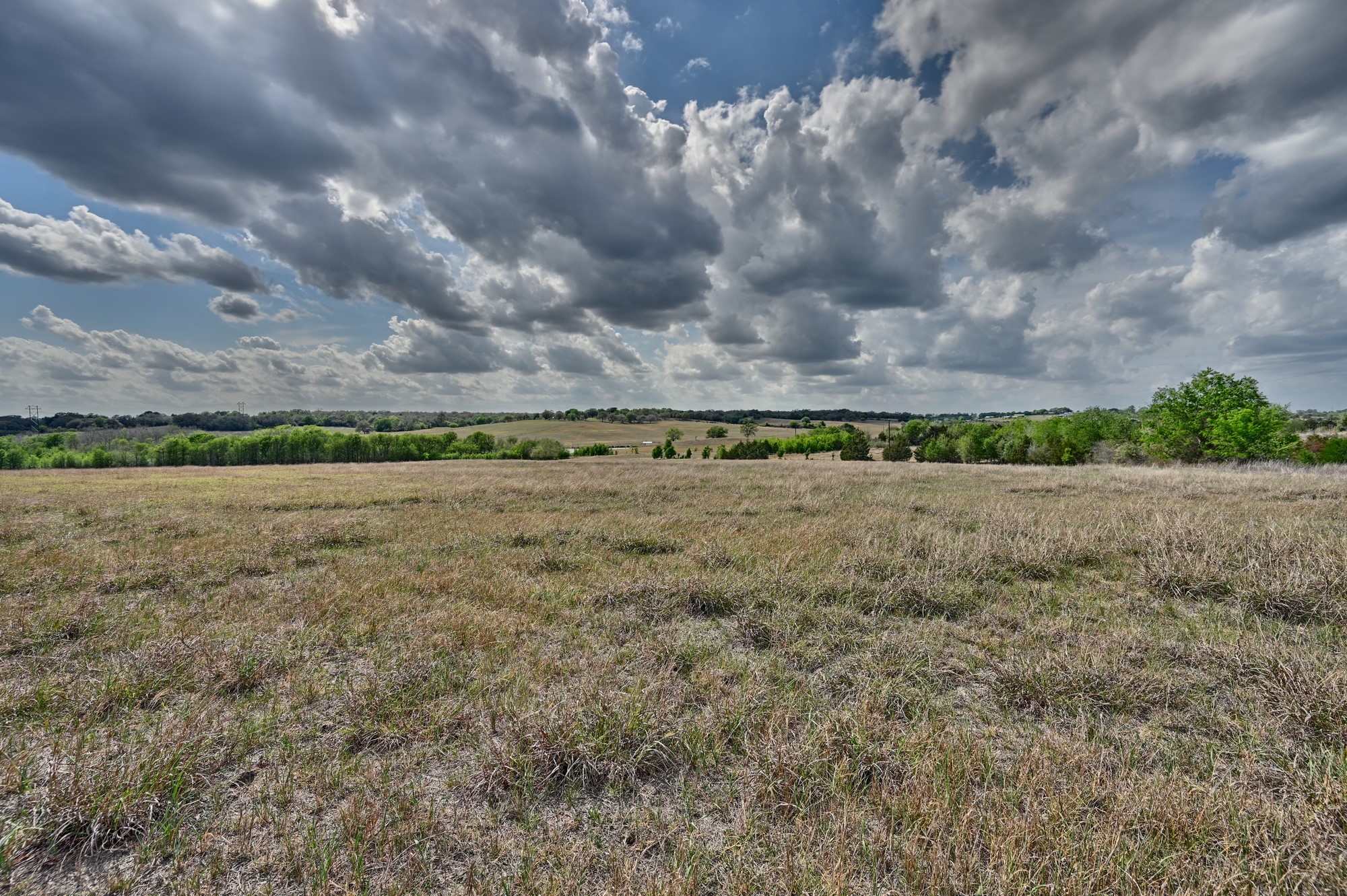 3219 Fritsch Road La Grange, TX 78945 - Photo 16 of 22 Mid Pasture