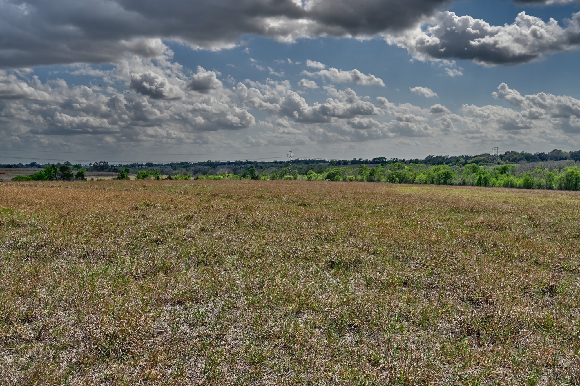 3219 Fritsch Road La Grange, TX 78945 - Photo 17 of 22 Mid Pasture