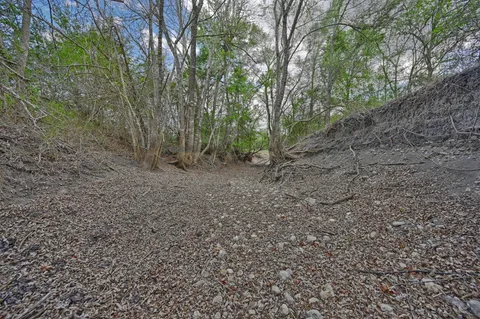 a view of a yard with a tree