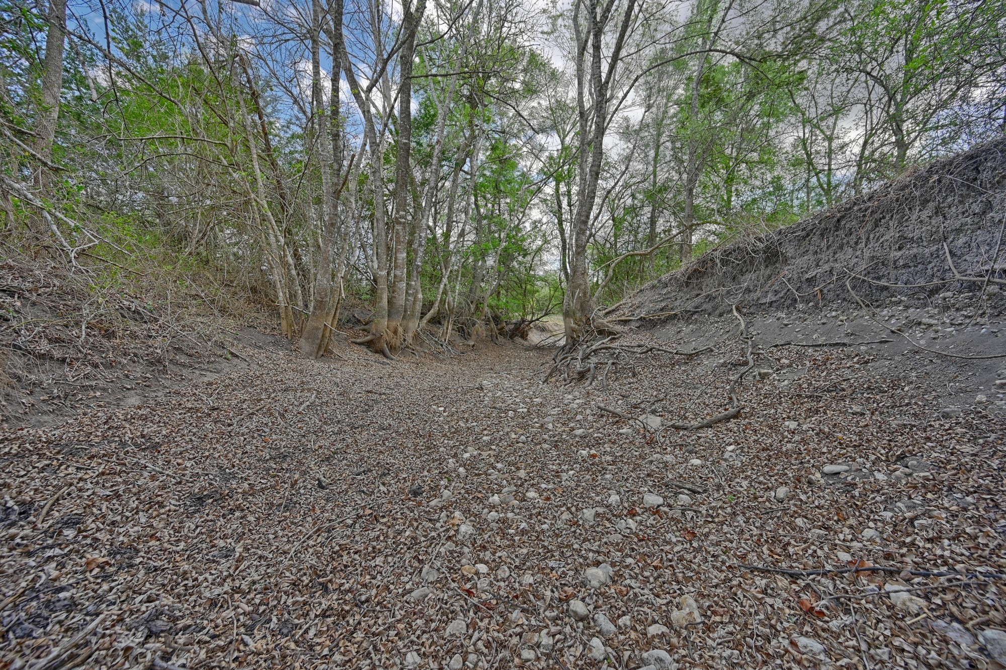 3219 Fritsch Road La Grange, TX 78945 - Photo 21 of 22 South Creek