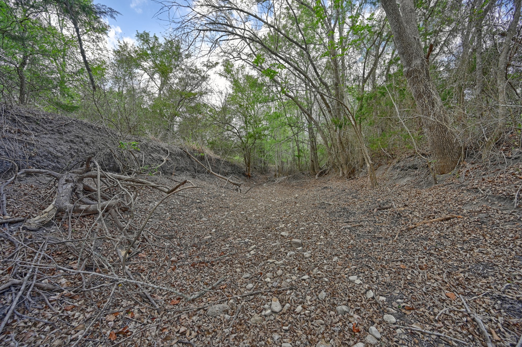 3219 Fritsch Road La Grange, TX 78945 - Photo 22 of 22 South Creek