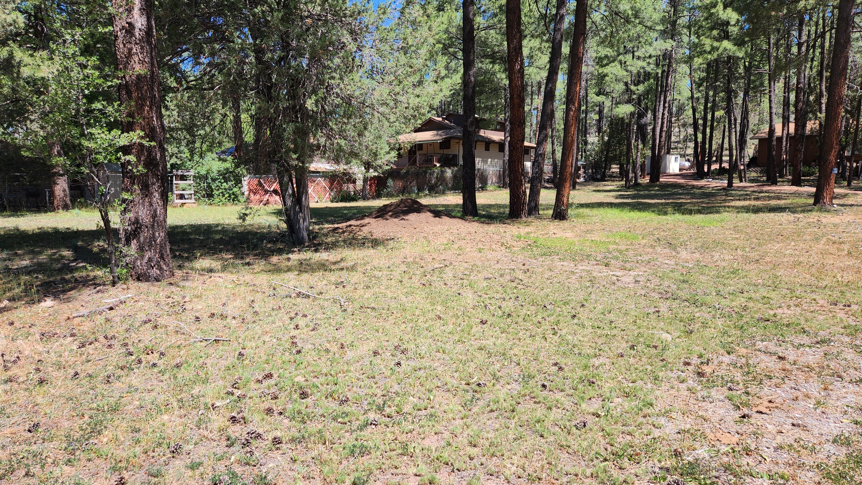 181 Cedar Circle Payson, AZ 85541 - Photo 2 of 8 Lot181-TV3