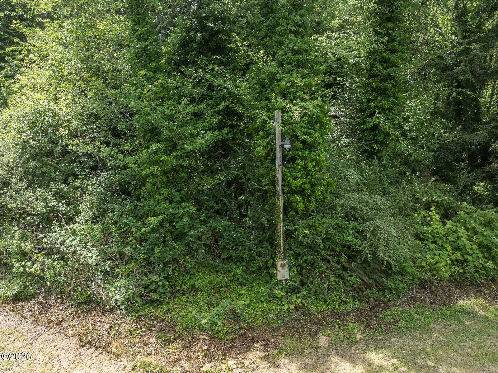 1200 East Alsea Highway Waldport, OR 97394 - Photo 6 of 18 Web-37
