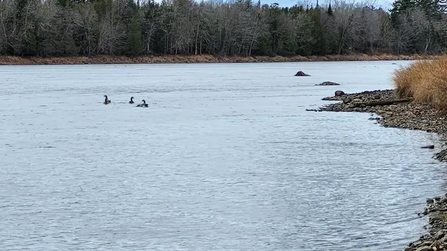 $73,900 | Lot 1 Medway Road Route 157 Road, Mattawamkeag, ME 04459