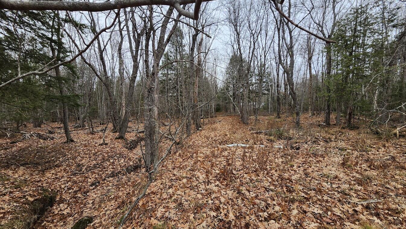 Lot 1 Medway Road Route 157 Road Mattawamkeag, ME 04459 - Photo 3 of 4 land