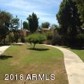4201 East Camelback Road, Unit 48 Phoenix, AZ 85018 - Photo 5 of 19 Love your surrounds!
