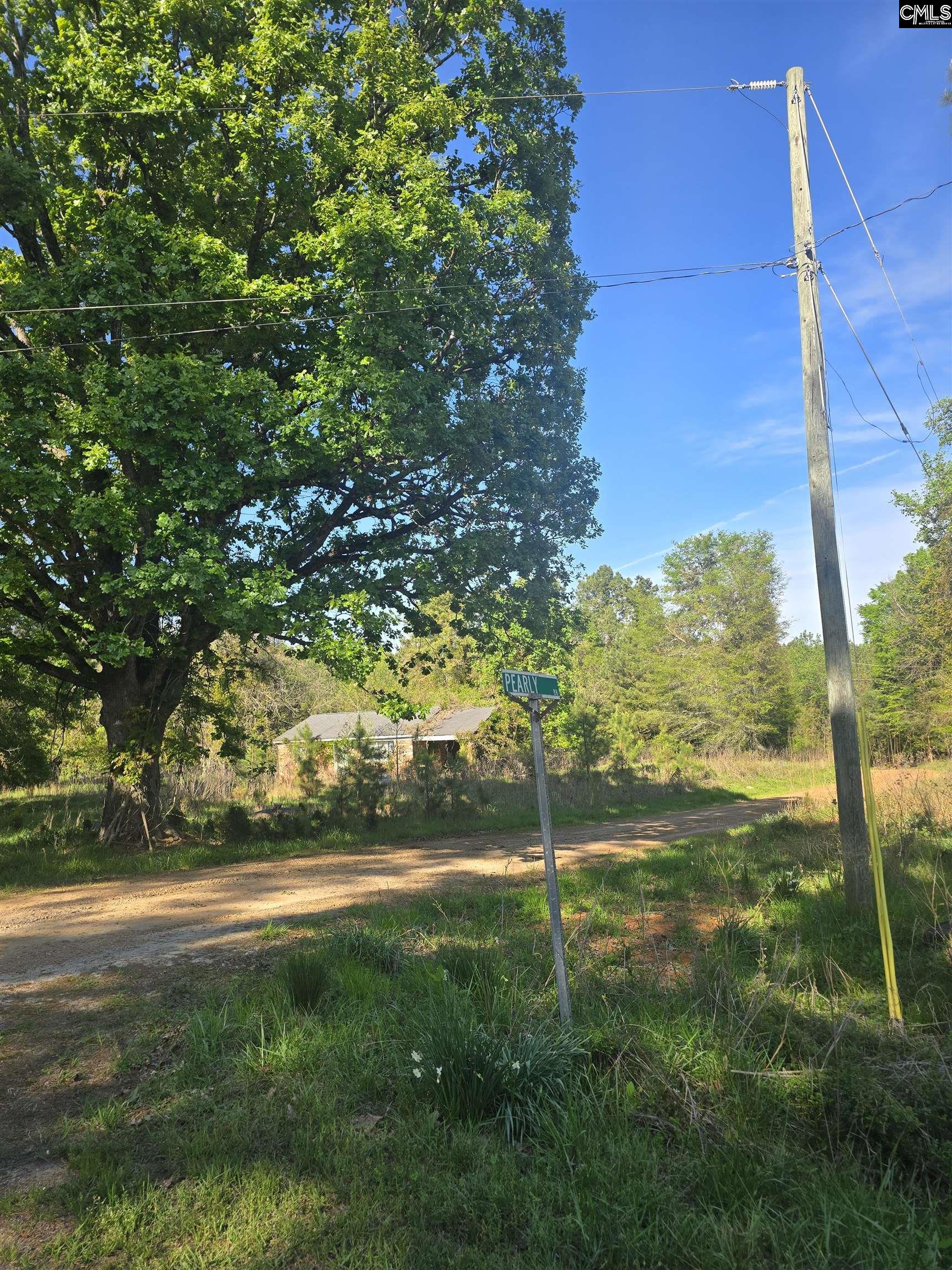0 St Barnabas Church Road Jenkinsville, SC 29065 - Photo 2 of 4