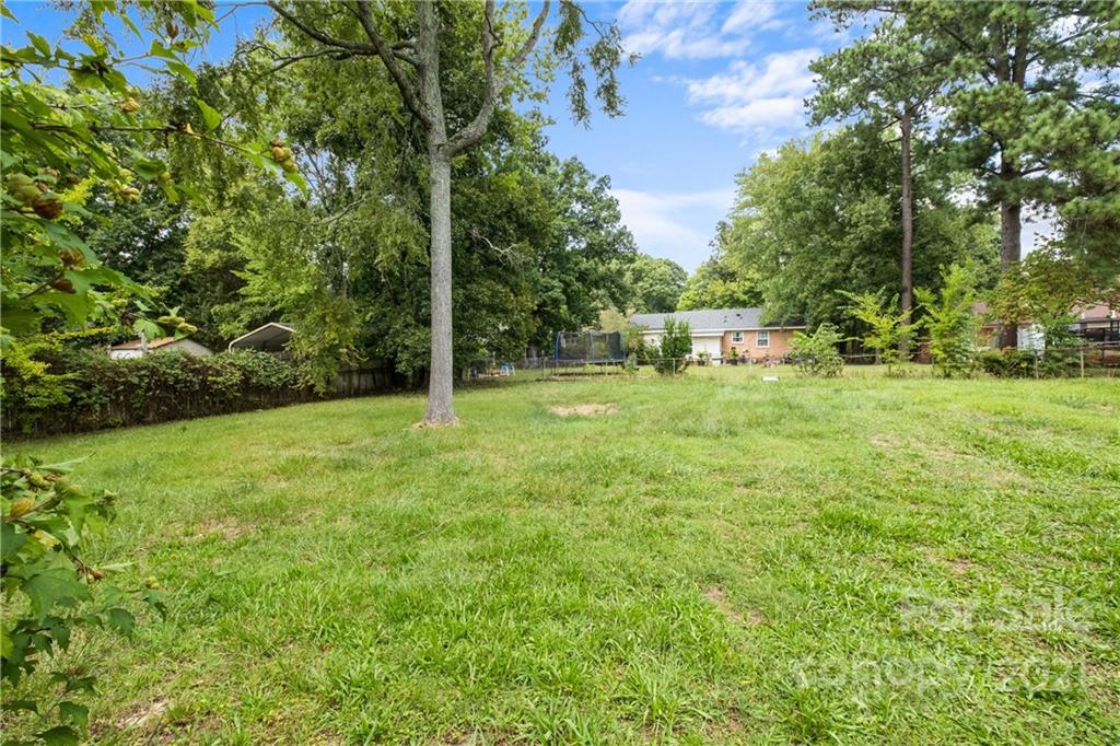 6833 Idlewild Road Charlotte, NC 28212 - Photo 24 of 24 a view of a big yard with plants and large trees
