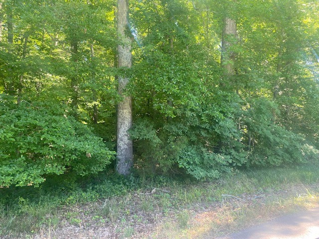 0 Hunter Road Fayetteville, TN 37334 - Photo 4 of 5 a view of a forest with lots of trees