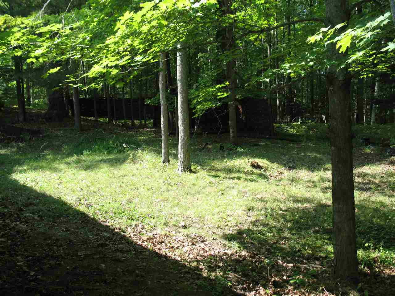 7634 Wickert Road Hale, MI 48739 - Photo 7 of 24 1806003-6.JPG