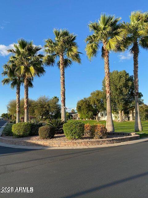 5735 East McDowell Road, Unit 63 Mesa, AZ 85215 - Photo 12 of 27 a view of a house with a yard and palm trees