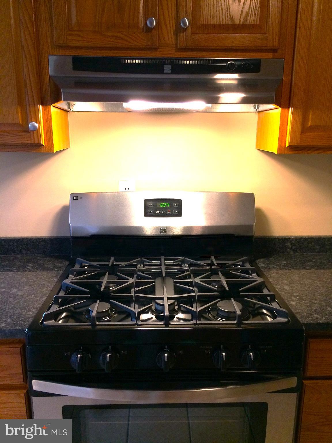 250 Ridge Pike, Unit CONDO 349 Lafayette Hill, PA 19444 - Photo 7 of 21 Sleek kitchen with modern gas range.