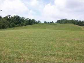 2002 George Hayes Road Boone, NC 28607 - Photo 1 of 6 Photo 1
