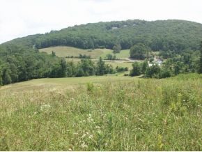 2002 George Hayes Road Boone, NC 28607 - Photo 2 of 6 Photo 2