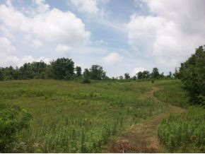 2002 George Hayes Road Boone, NC 28607 - Photo 3 of 6 Photo 3