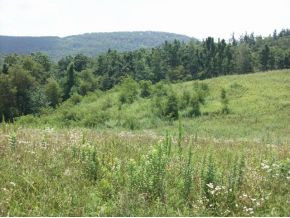 2002 George Hayes Road Boone, NC 28607 - Photo 4 of 6 Photo 4