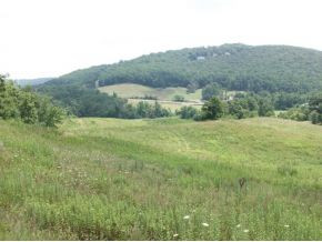 2002 George Hayes Road Boone, NC 28607 - Photo 5 of 6 Photo 5