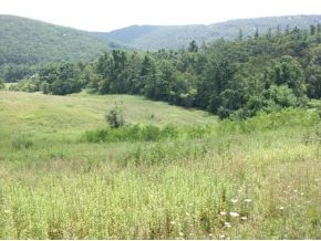 2002 George Hayes Road Boone, NC 28607 - Photo 6 of 6 Photo 6