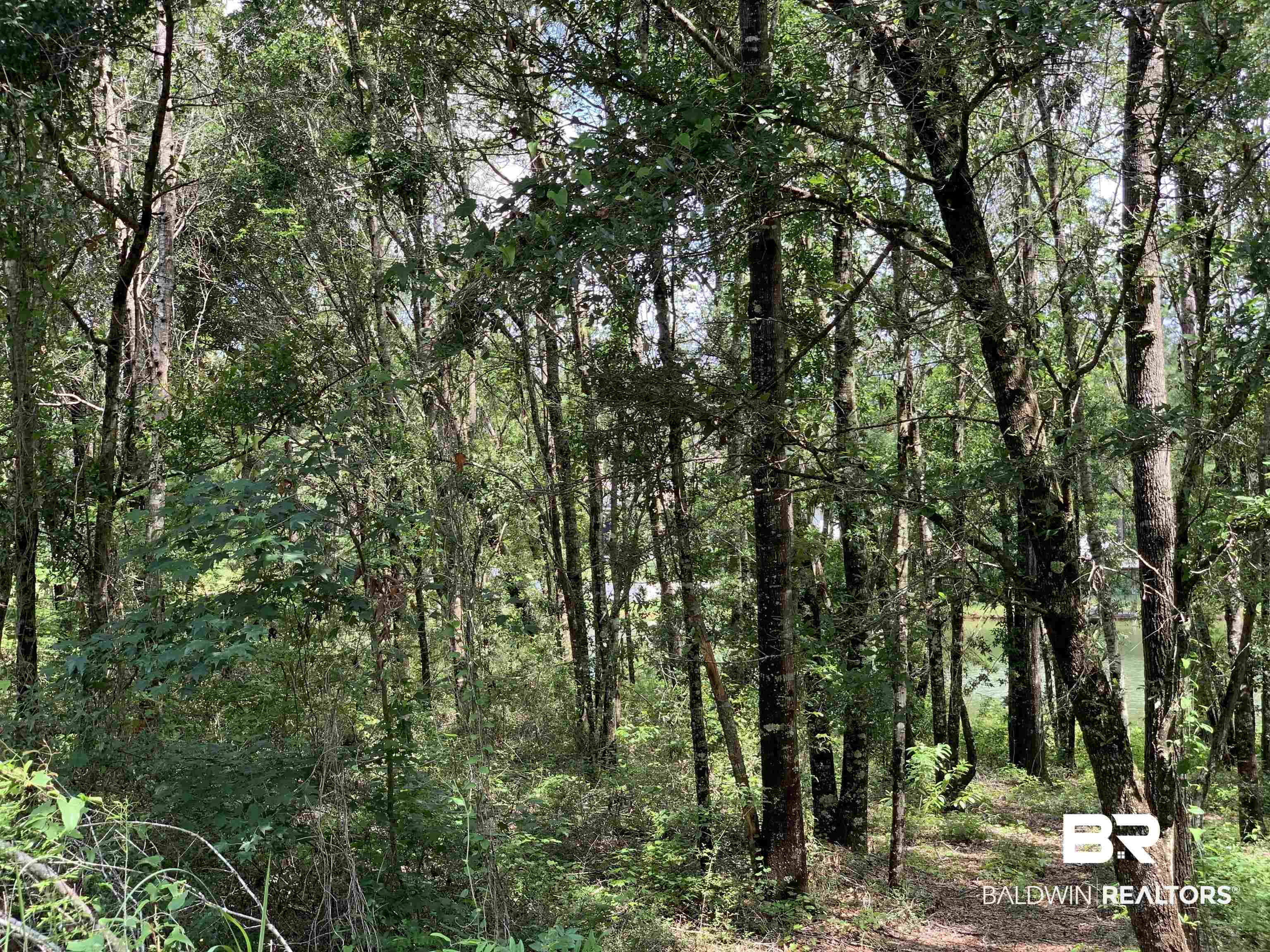 Lot 68 Sand Bar Lane Fairhope, AL 36532 - Photo 16 of 17