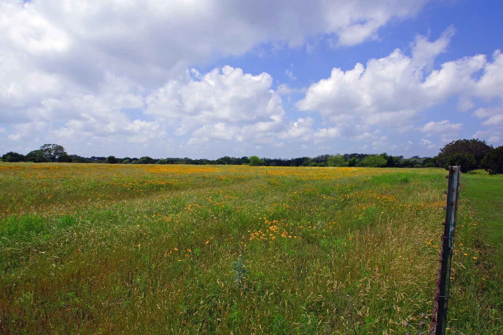 350 Apache Springs Road Briggs, TX 78608 - Photo 8 of 13 Gallery Image 8