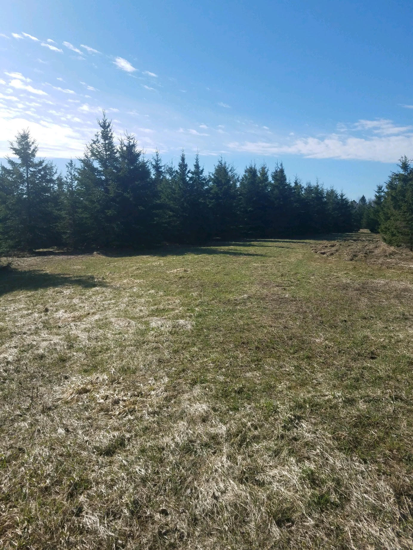 43-acres South Ridge Road Sault Ste. Marie, MI 49783 - Photo 12 of 24 Gallery Image 12