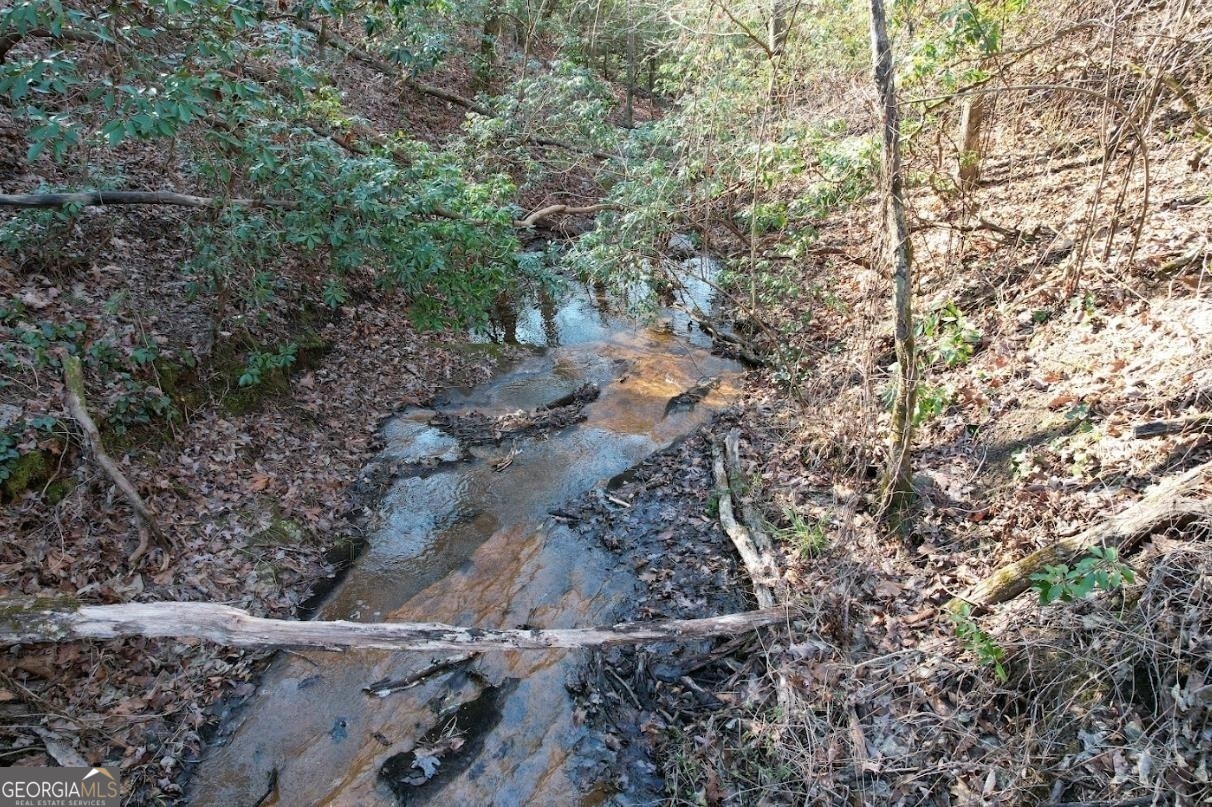 187 Old Jones Mountain Rd East