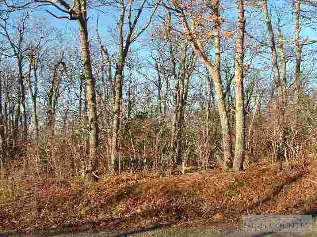 Lot D29 Fire Tower Road Boone, NC 28607 - Photo 1 of 1 Gallery Image 1