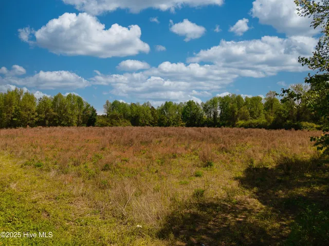 $129,900 | 0 Clarendon Chadbourn Road, Clarendon, NC 28432