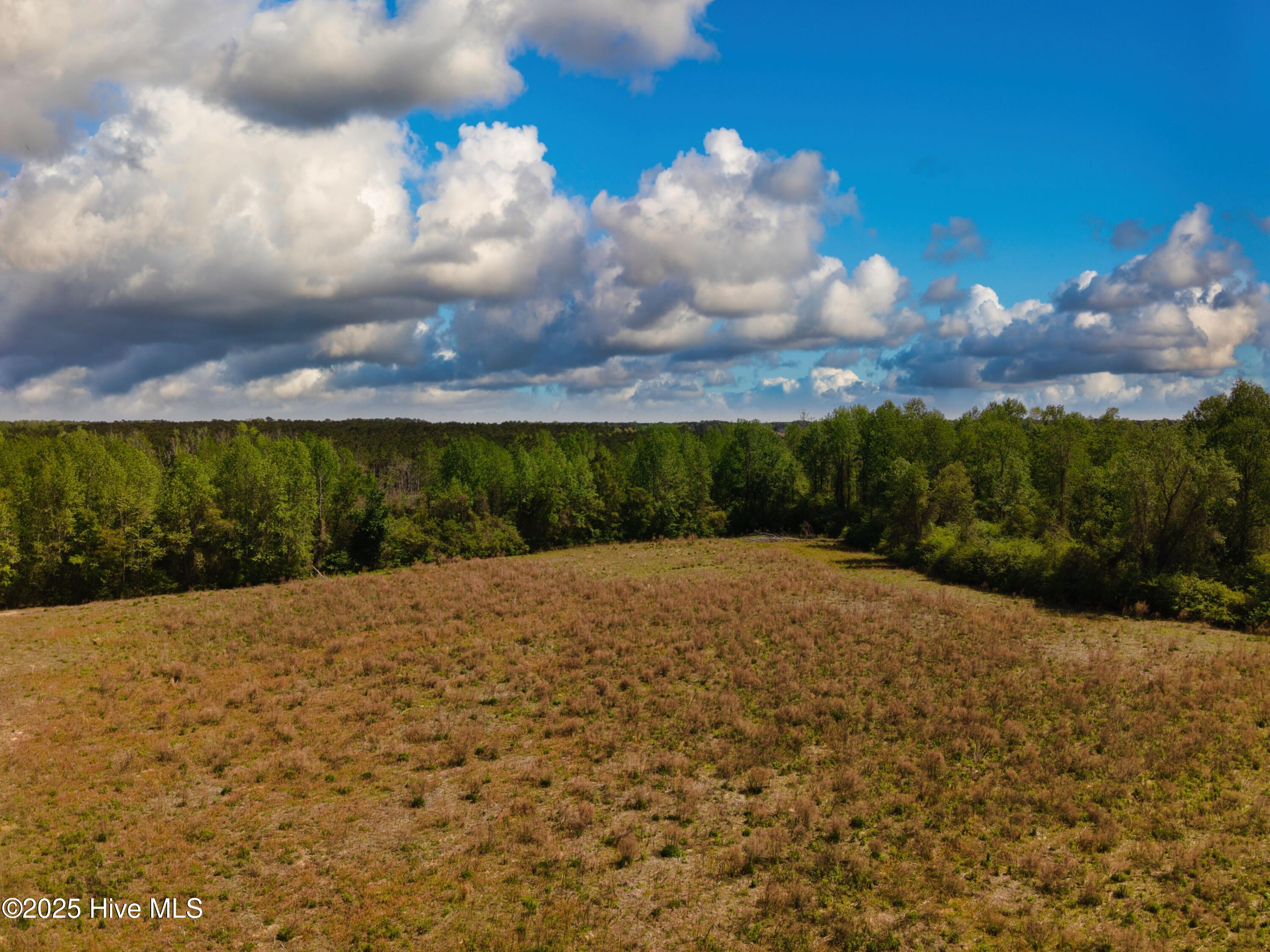 0 Clarendon Chadbourn Road Clarendon, NC 28432 - Photo 4 of 7 DJI_0106