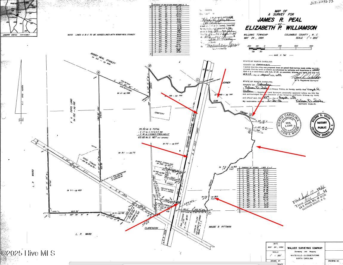 0 Clarendon Chadbourn Road Clarendon, NC 28432 - Photo 7 of 7 Platwarrows