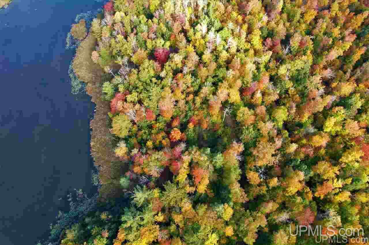 Tbd Round Lake Road Wetmore, MI 49895 - Photo 4 of 5 Gallery Image 4