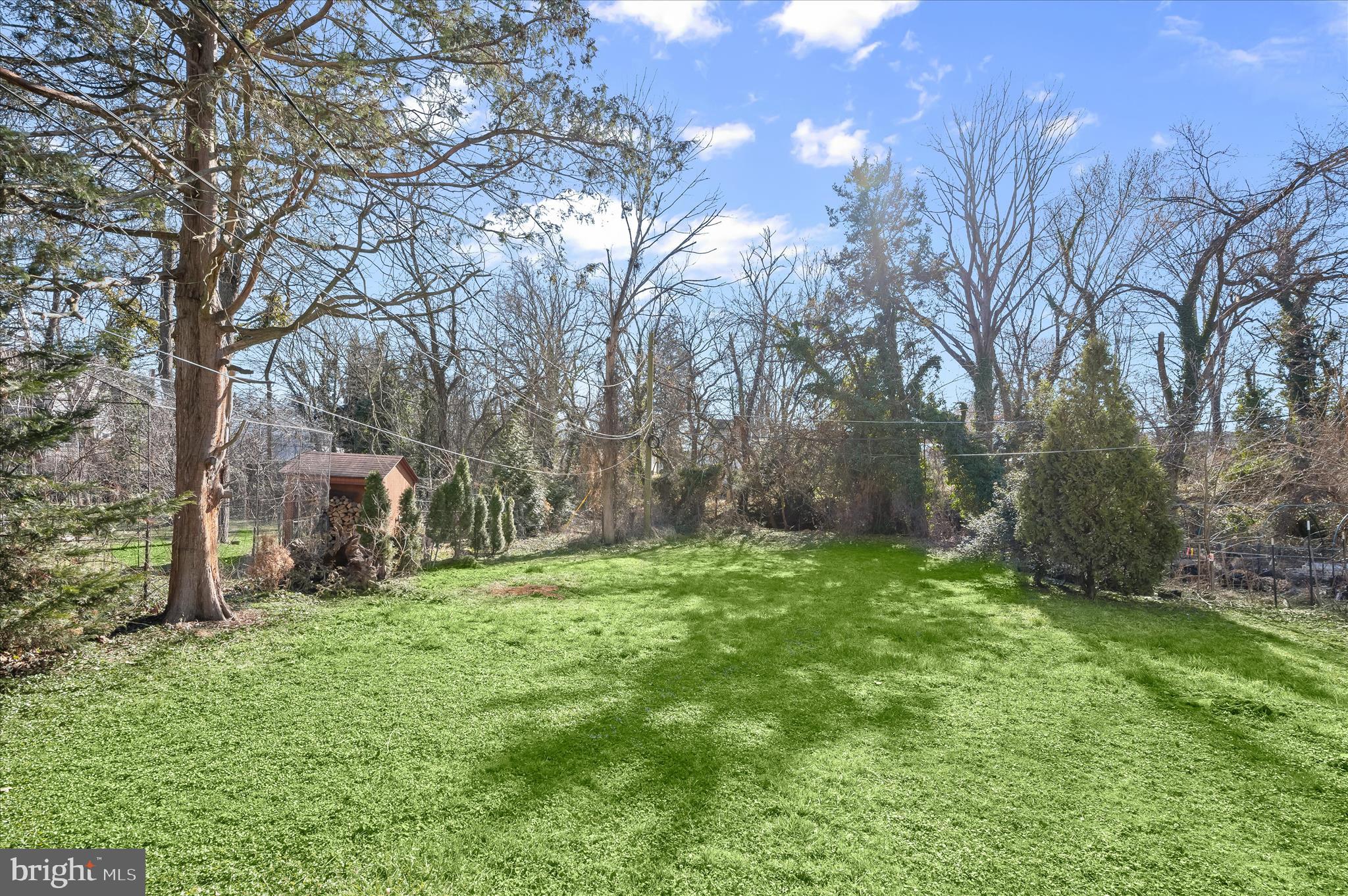 1236 Elm Ridge Avenue Baltimore, MD 21229 - Photo 34 of 41 a backyard of a house with lots of green space