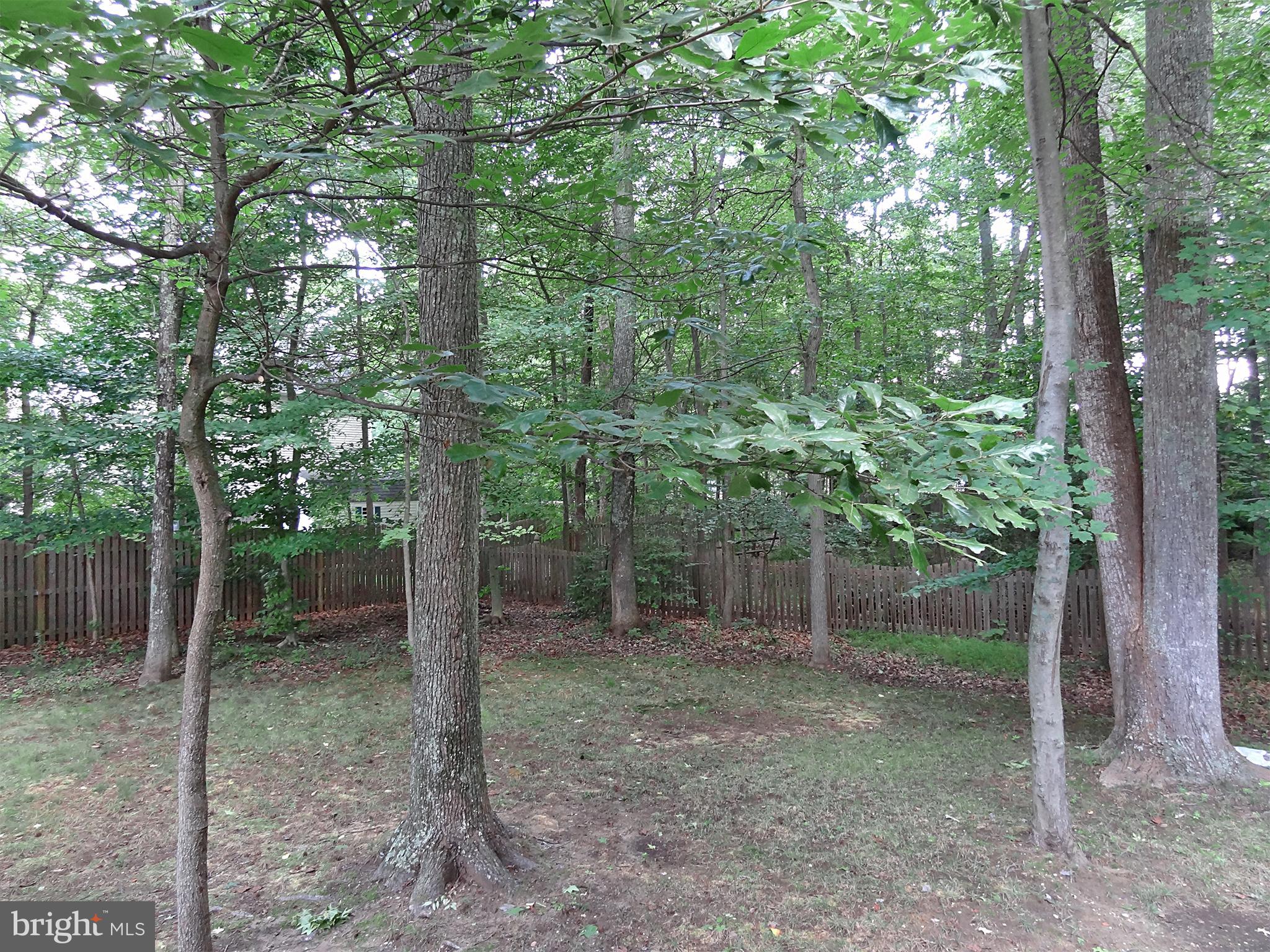 3620 Calvert Street Edgewater, MD 21037 - Photo 24 of 30 FENCED AREA IS ONLY HALF THE YARD. GOES WAY BACK