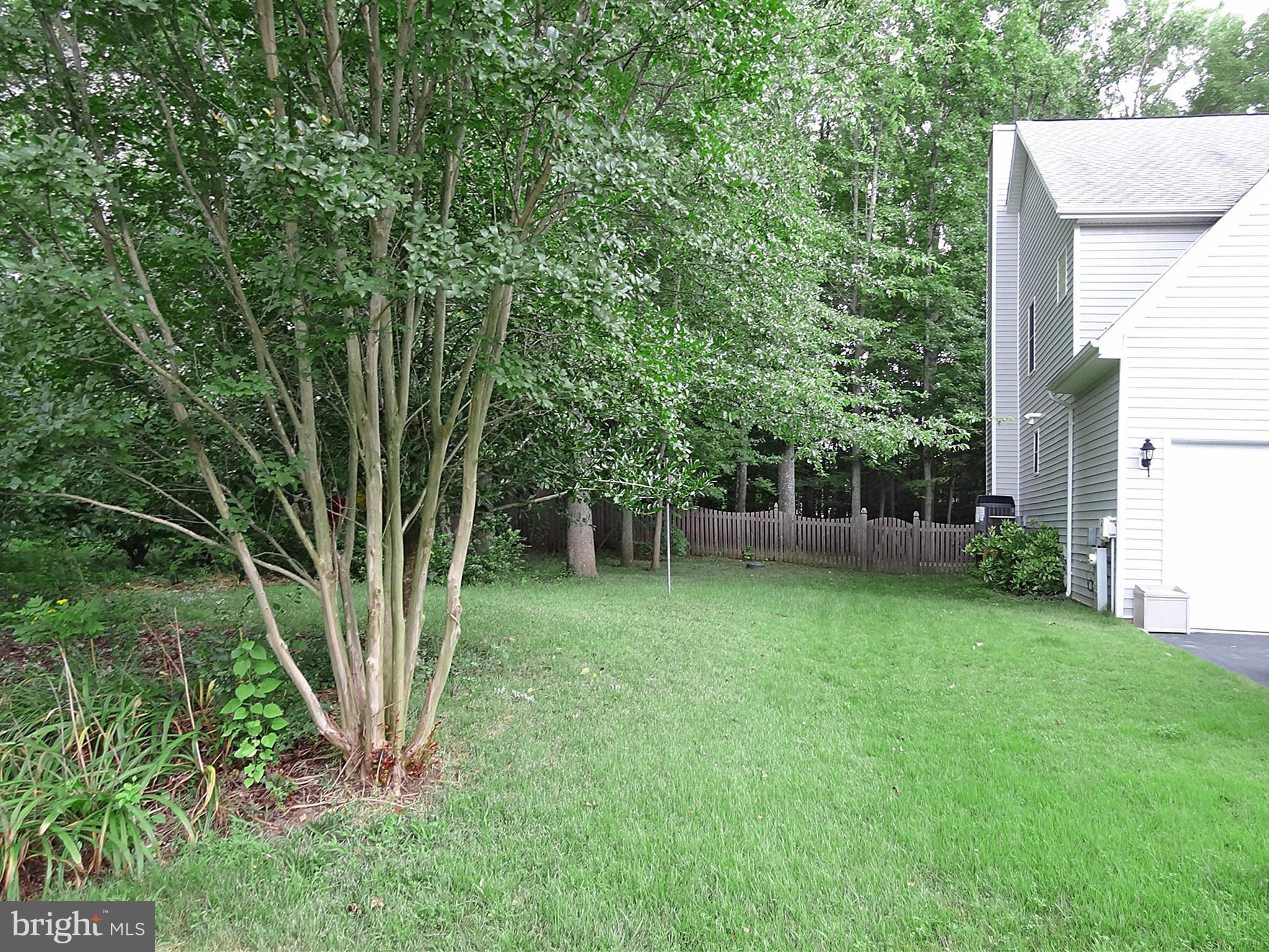 3620 Calvert Street Edgewater, MD 21037 - Photo 26 of 30 TO THE LEFT IS YOUR ONLY NEIGHBOR. CANT SEE THEM!