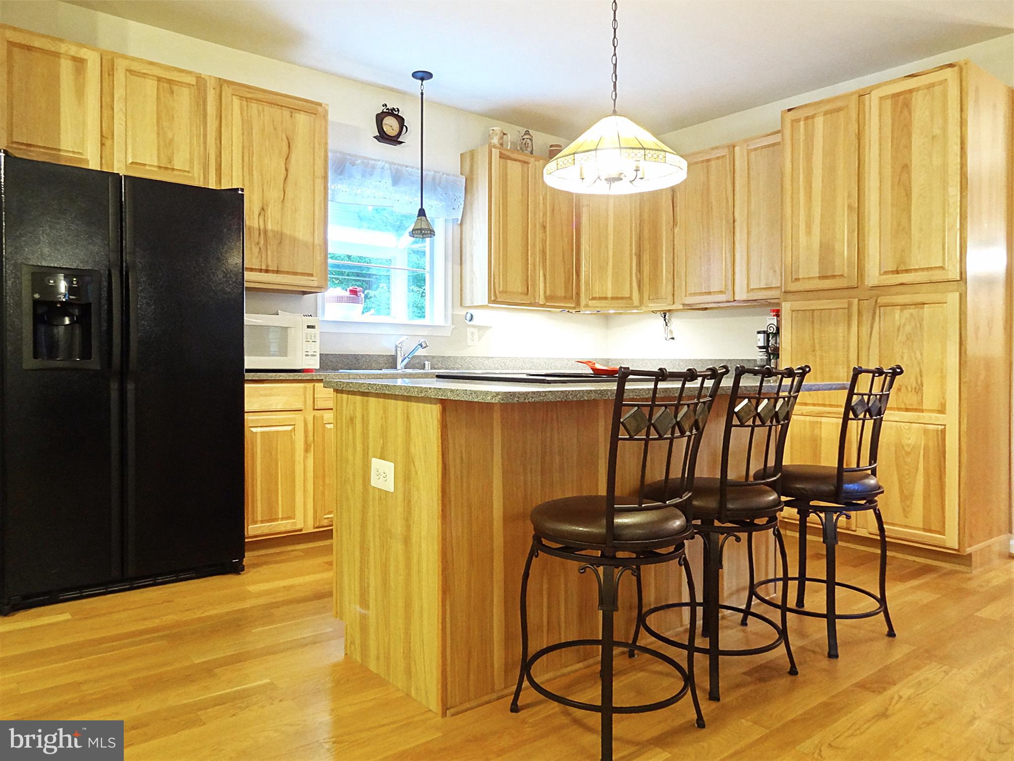 3620 Calvert Street Edgewater, MD 21037 - Photo 8 of 30 AIRY KITCHEN OVERLOOKING THE BACKYARD