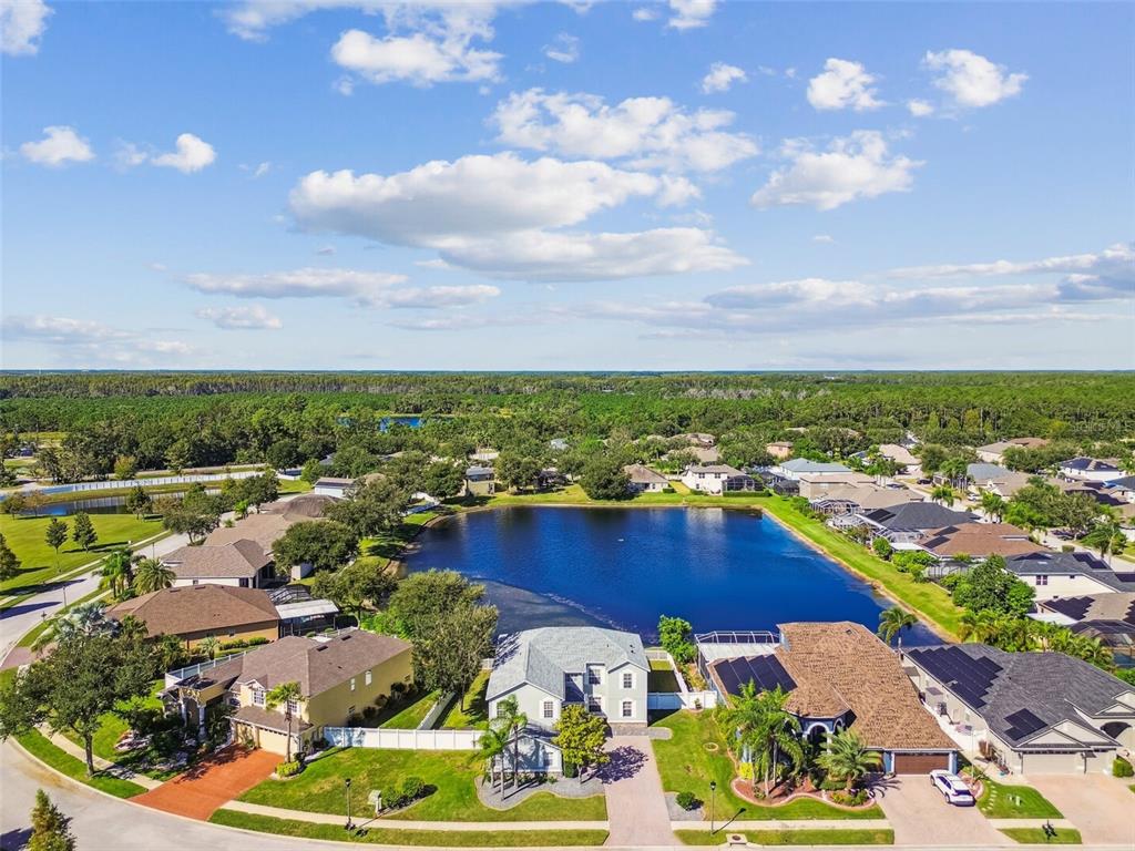 4603 Walnut Ridge Road Land O' Lakes, FL 34638 - Photo 78 of 95 Gallery Image 78