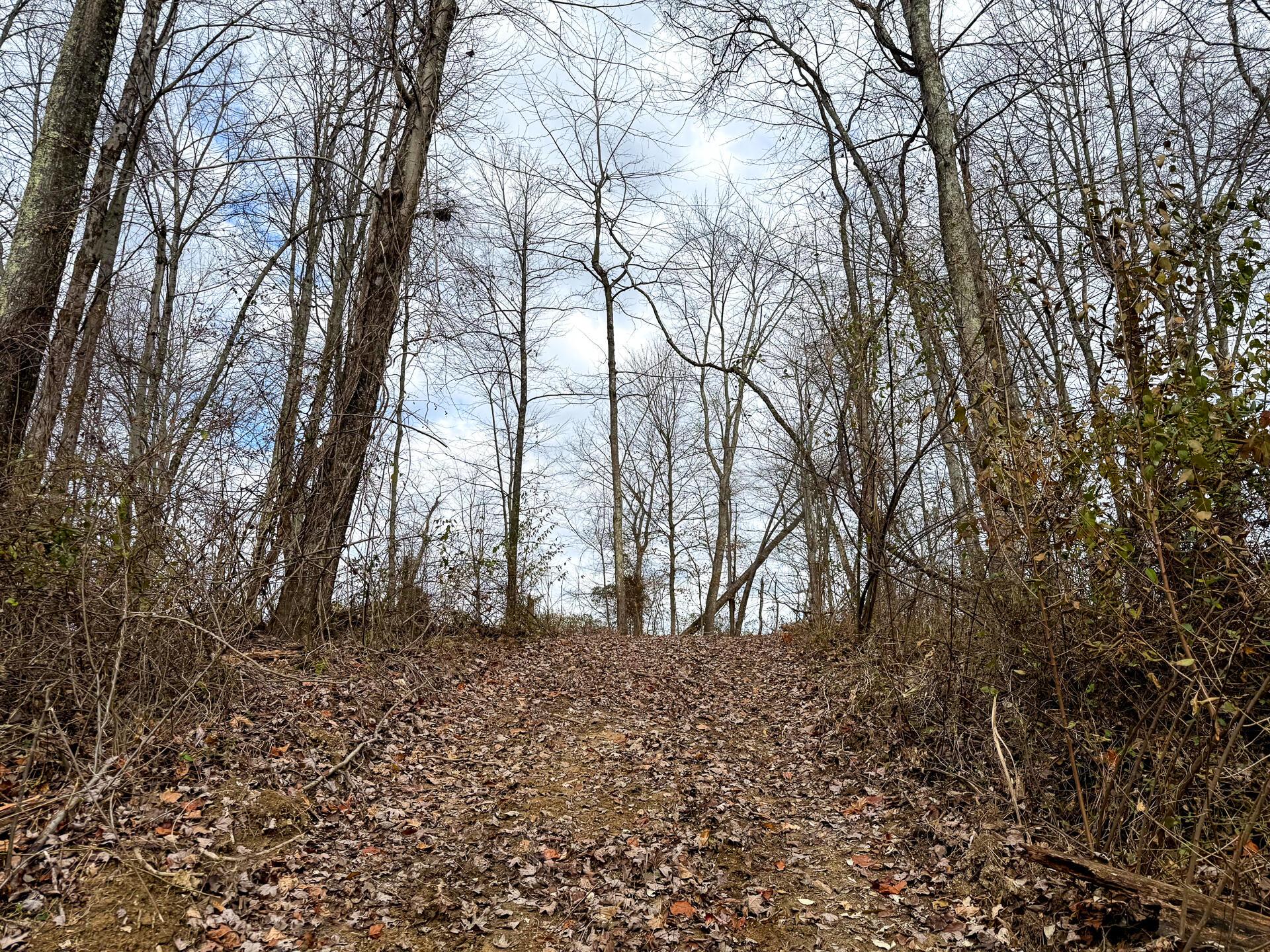 0 Dutch Ridge Road Southeast, Unit WOODS TURKEY RUN TRACT 1) New Lexington, OH 43764 - Photo 20 of 43 CT-20