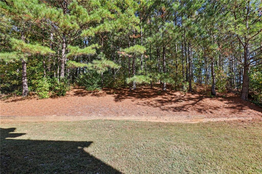 36 Evergreen Way Dallas, GA 30157 - Photo 43 of 55