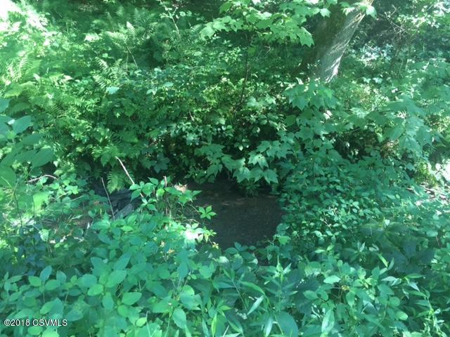 Cherry Hollow Road Millville, PA 17846 - Photo 7 of 7