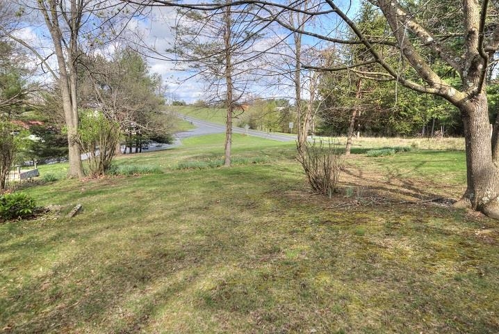 1310 New Hope Road Staunton, VA 24401 - Photo 56 of 62 a view of a yard with a tree