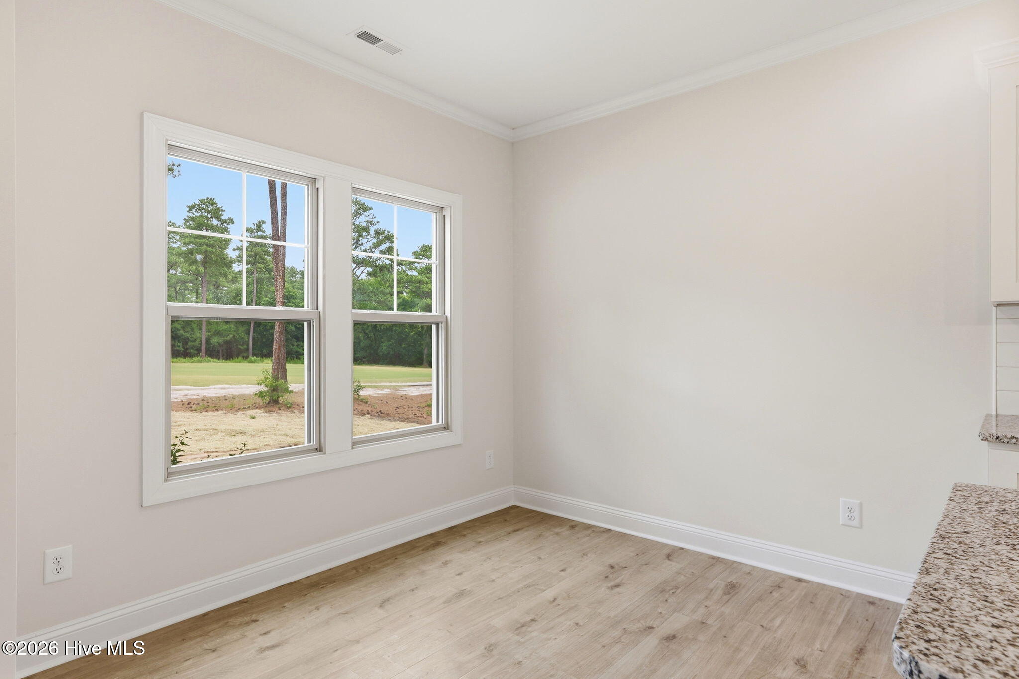 16651 Rabbit Run Court Wagram, NC 28396 - Photo 14 of 37